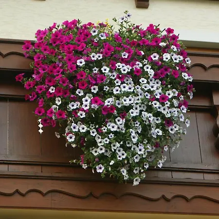 Gaestehaus Kuebler Haus im Ennstal