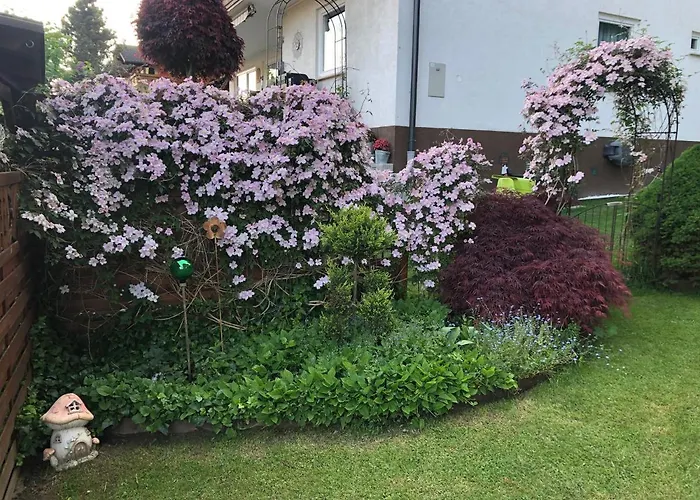 Gaestehaus Kuebler Pansiyon Haus im Ennstal