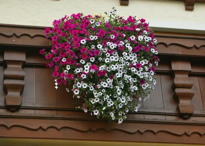Gaestehaus Kuebler Haus im Ennstal